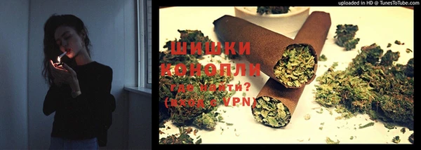 ECSTASY Бородино