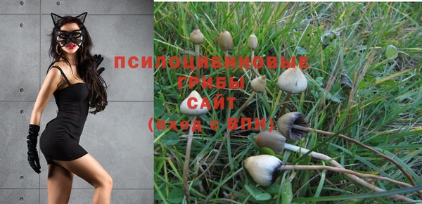 ECSTASY Бородино