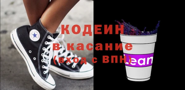 ECSTASY Бородино