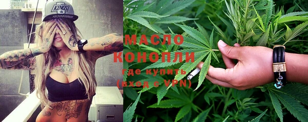 ECSTASY Бородино