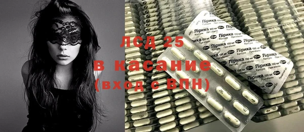 ECSTASY Бородино