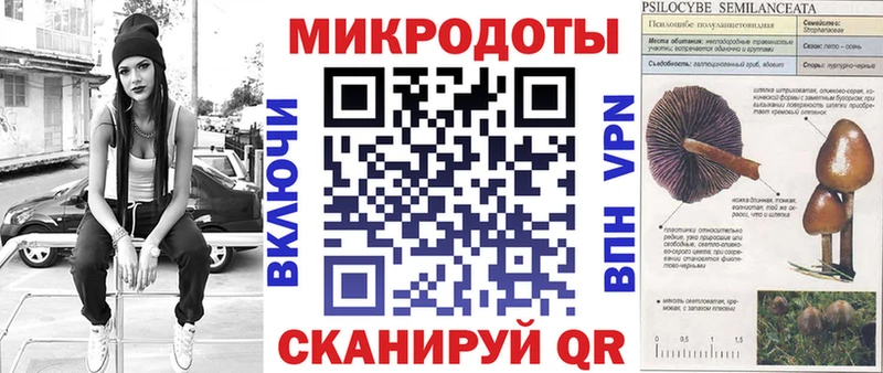 Псилоцибиновые грибы прущие грибы купить наркотики сайты Медногорск